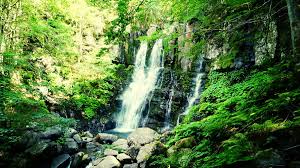 Image result for cascate del dardagna