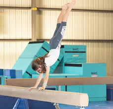 Image result for St Bedes Gymnastics Club