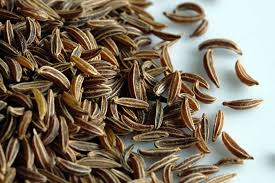 Image result for Carum carvi