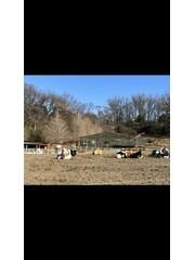 「木下秀美」の画像検索結果