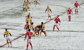 Image result for Celtic Crusaders