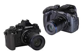 Attēlu rezultāti vaicājumam “Licea minima macro”