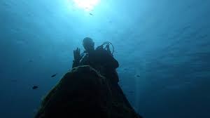 Image result for Aylesbury Ducks Sub Aqua Club