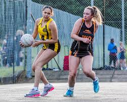 Image result for Watford Premier Netball Club