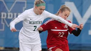 Image result for Hook Sports Association