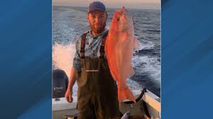 Image result for Rhomboplites aurorubens