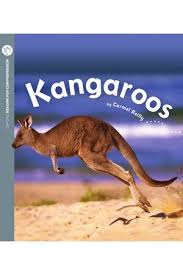 Image result for Reading Kangaroos