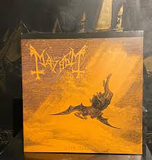 Attēlu rezultāti vaicājumam “Diderma montanum var. album stalked”