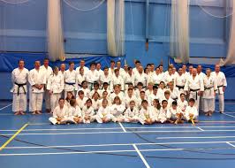 Image result for Karate Wado Kai