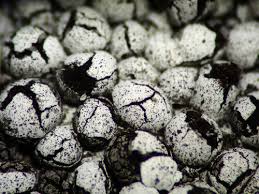 Attēlu rezultāti vaicājumam “Diderma chondrioderma”