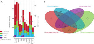 Attēlu rezultāti vaicājumam “Brefeldia maxima plasmodium”