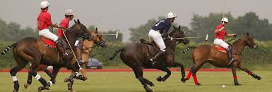 Image result for Kirtlington Park Polo Club