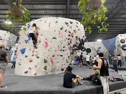 Image result for Revolution Dojo