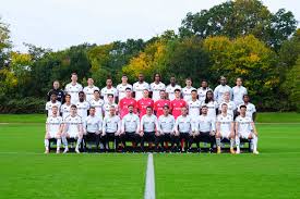 Image result for Fulham Football Club