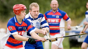 Image result for Lochcarron Camanachd