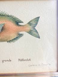 Image result for Pachymetopon grande