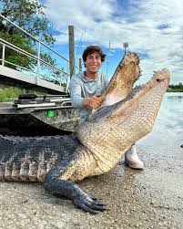 Image result for London Gators