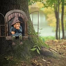 Image result for Gartenzwerg