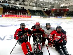 Image result for Cardiff Comets Ladies Ice Hockey