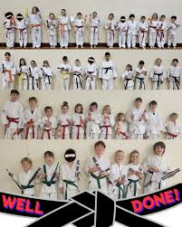 Image result for Tsunami Karate Club