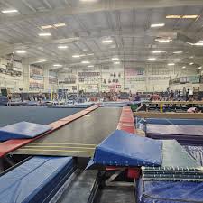 Image result for Fish trampoline and gymnastics club