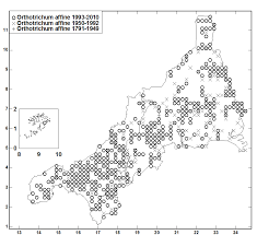 Attēlu rezultāti vaicājumam “Orthotrichum affine var. affine”