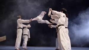 Image result for Kidderminster Tae Kwon Do Tigers