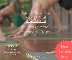 Image result for Christleton Badminton Club