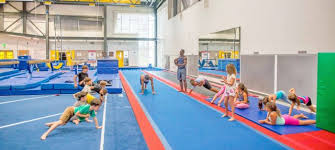 Image result for Monarchs Sports Acrobatics Club