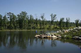 Image result for Becmain Angling Society