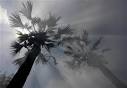 World Environment News   2011 Was Ninth Warmest Year Since 1880