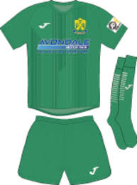 Image result for Cwmbran Celtic F C