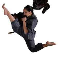 Image result for Northern Freestyle Karate Association