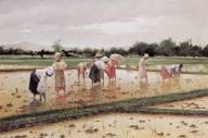 Women working in a rice field by Fabian de la Rosa on artnet