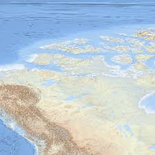 Image result for Rostroraja eglanteria