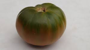 Afbeeldingsresultaat voor black sea man tomato