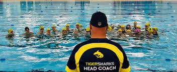 Image result for Swindon Dolphins