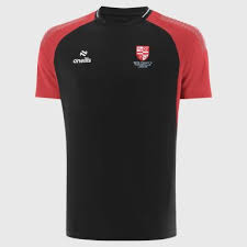 Image result for Sean Treacy`s Hurling Club