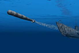 Image result for Torpedo torpedo