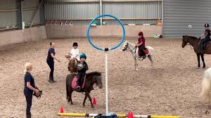 Image result for Peebles & District Riding Club