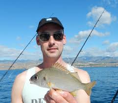 Image result for Pomadasys incisus