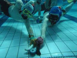 Image result for 1066 Swimmers