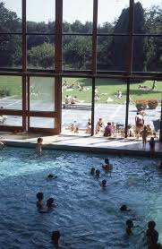 Image result for Crawley Swimming Club