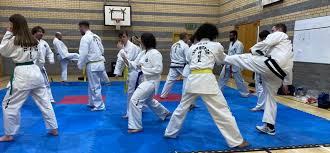 Image result for Leighton Buzzard Tae Kwon-Do Club