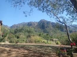 Kuvahaun tulos haulle tepoztla