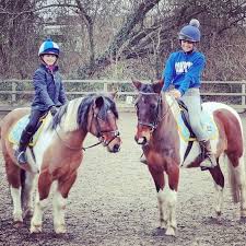 Image result for Lower Farm Stables