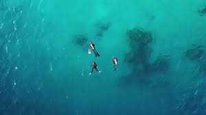 Image result for Three Seas Diving