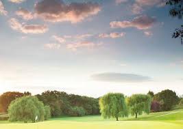 Image result for Surbiton Golf Club