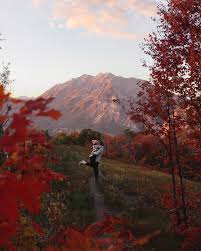 Image result for $$fall_akte__ort$$