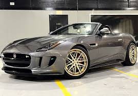 Image result for Halcyon Gold 2016 Jaguar